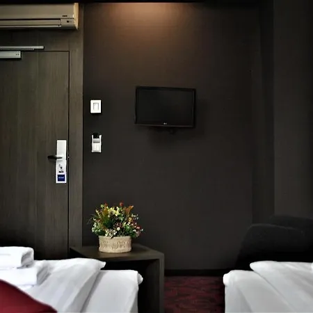 Hotel Best Western Roca 3*